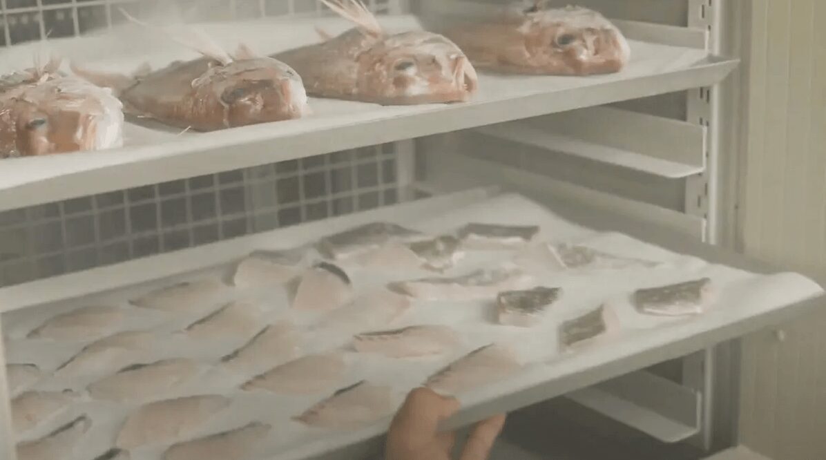 3Dフリーザーの画像2