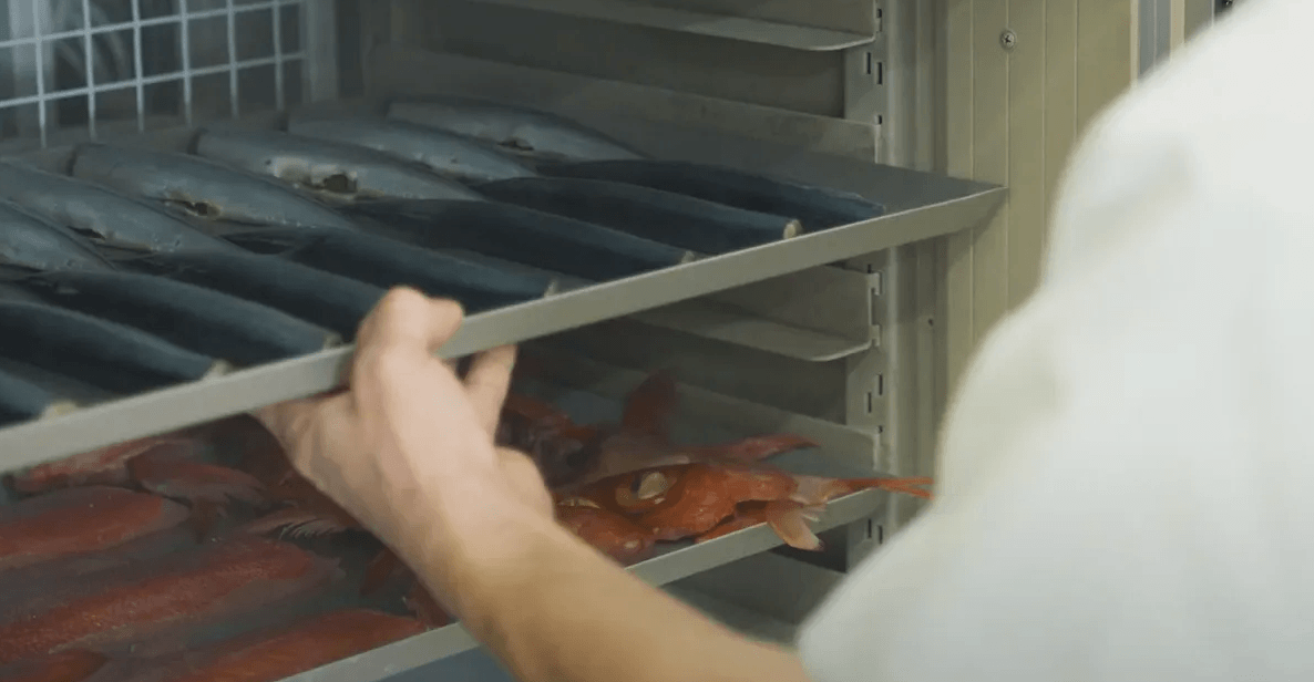 3Dフリーザーの画像2